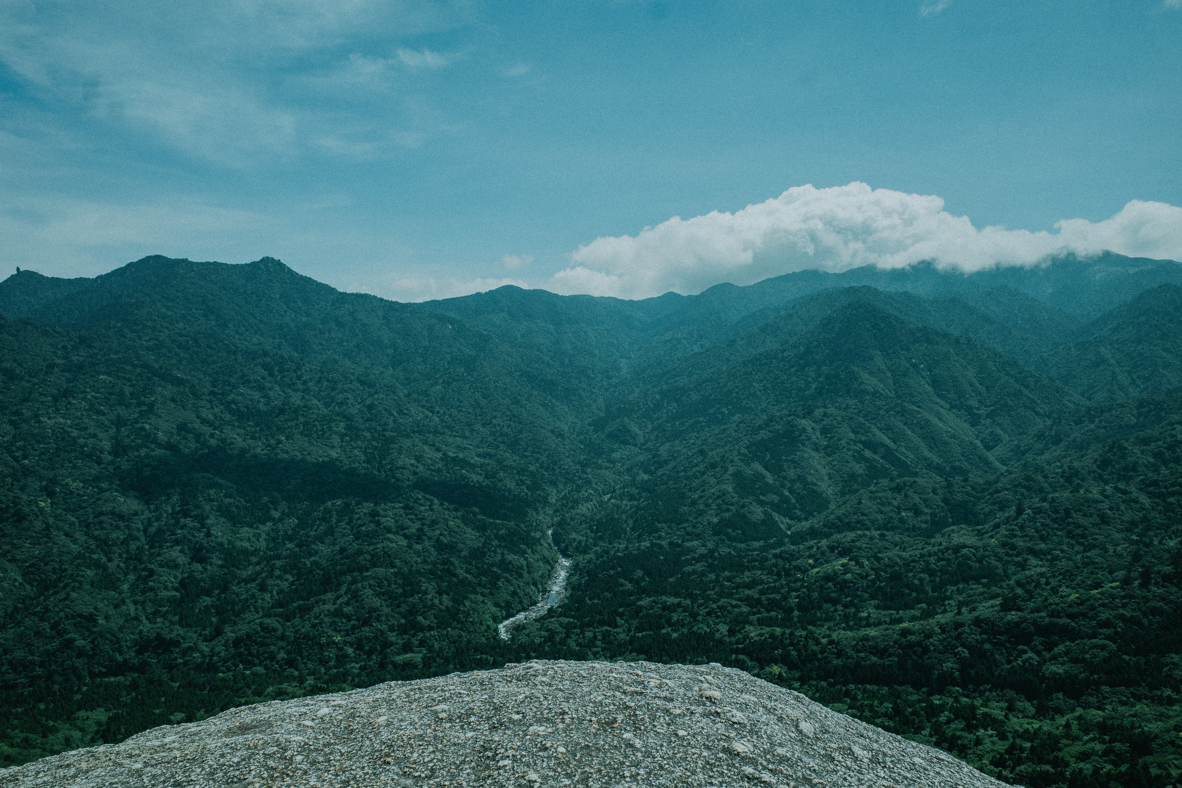 Yakushima 2024